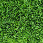 X-Fjernelse af naturpletter