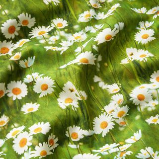 Dekorationsstof Halvpanama tusindfryd-eng – græsgrøn/hvid, 