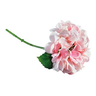 Hortensia Kunstig blomst | Rayher – rosa, 