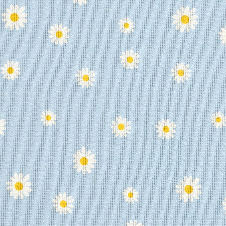 Vaflet jersey margueritter – sølvblå,  image number 1