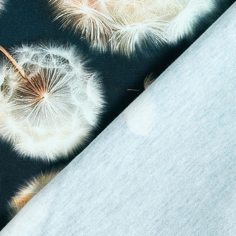 Bomuldsjersey mælkebøtter Bordure stof | Glitzerpüppi – sort-blå/mandel,  image number 4