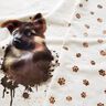 French Terry Sommersweat schæferhund Panel | Glitzerpüppi – lysebeige,  thumbnail number 2