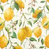 Outdoor stof Canvas Citroner – elfenben/Citrongul,  thumbnail number 1