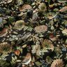 Dekorationsstof Gobelin blomster og fugle – sort/grøn,  thumbnail number 2
