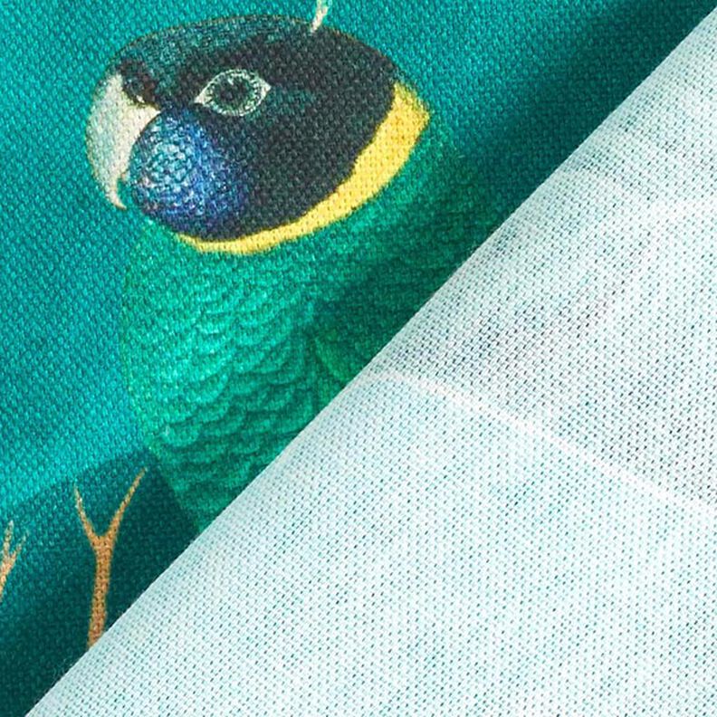 Dekorationsstof Canvas Paradisfugle – mørkegrøn,  image number 4
