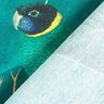 Dekorationsstof Canvas Paradisfugle – mørkegrøn,  thumbnail number 4