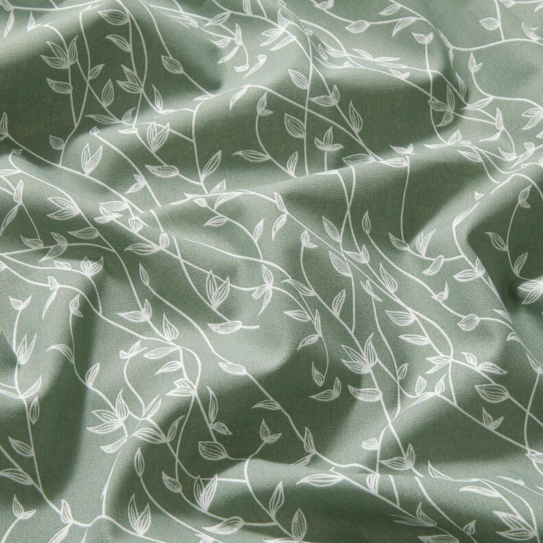 Bomuldspoplin bladranker – reed,  image number 2