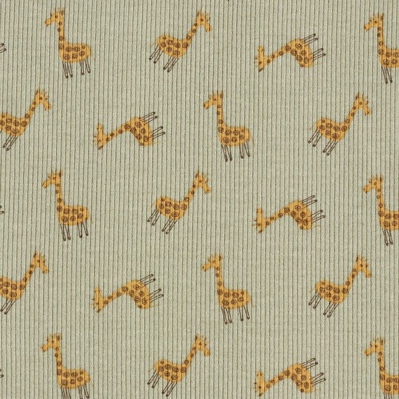 Rib-jersey søde giraffer – kaki,  image number 1