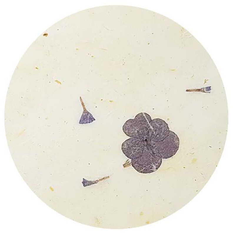 Naturpapir-sæt  "Paper Nature Viola",  image number 3
