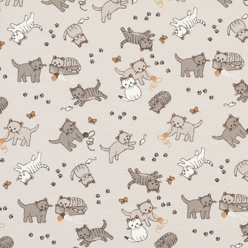 Bomuldsjersey søde katte – tågegrå,  image number 1