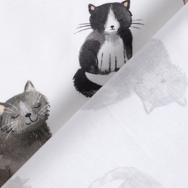 Bomuldspoplin glade katte Digitaltryk | Poppy Fabrics – hvid,  image number 4