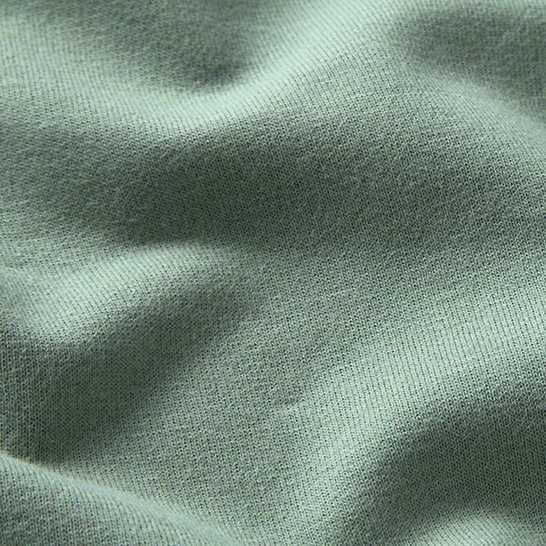 GOTS Softsweat | Tula – reed,  image number 2