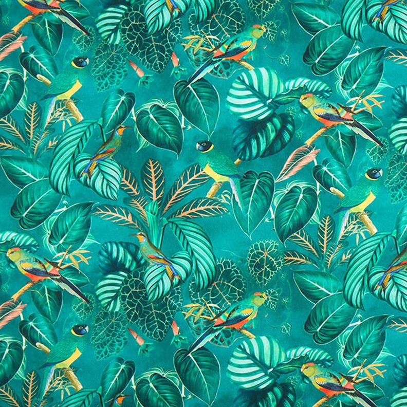 Dekorationsstof Canvas Paradisfugle – mørkegrøn,  image number 1