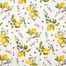 Dekorationsstof Canvas citroner – gul,  thumbnail number 1