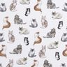 Bomuldspoplin glade katte Digitaltryk | Poppy Fabrics – hvid,  thumbnail number 1