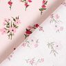Bomuldsstof Cretonne mini-blomster – rosé/intens pink,  thumbnail number 4